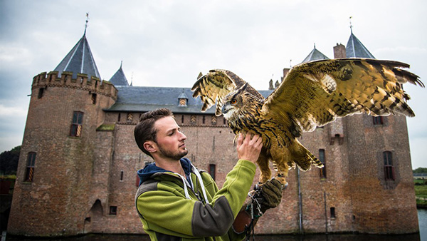 Personeelsfeest met valkenier workshop bij het kasteel